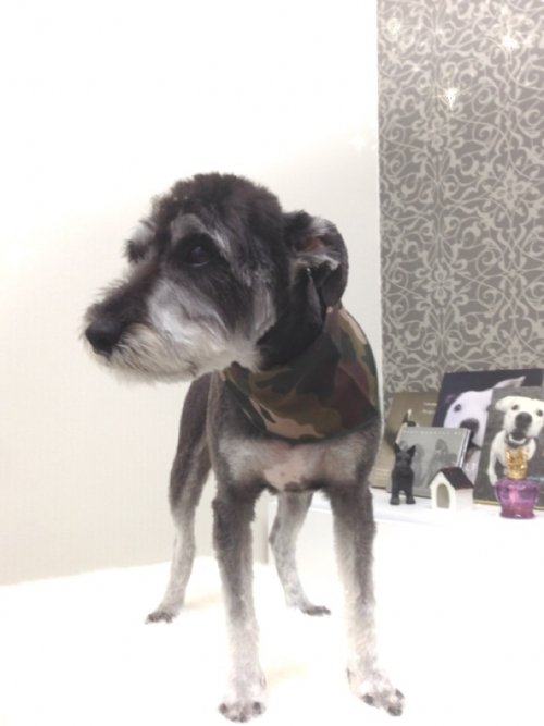 カメラは苦手なの～w