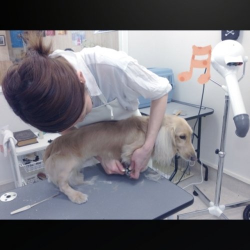 意外と…デキるコだよ！