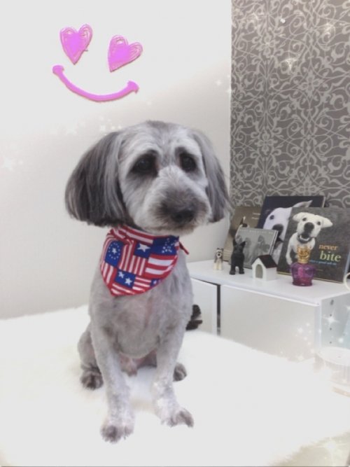 これで夏も快適～