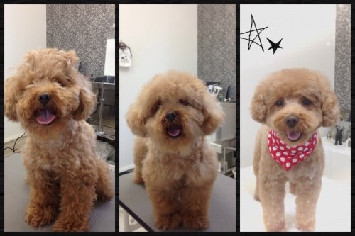 ビフォーアフター！！