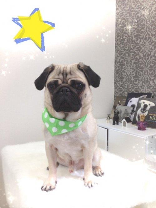 シュウくん大好き！