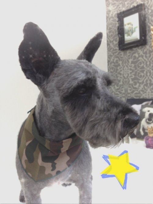 ロビンくん(^_^)