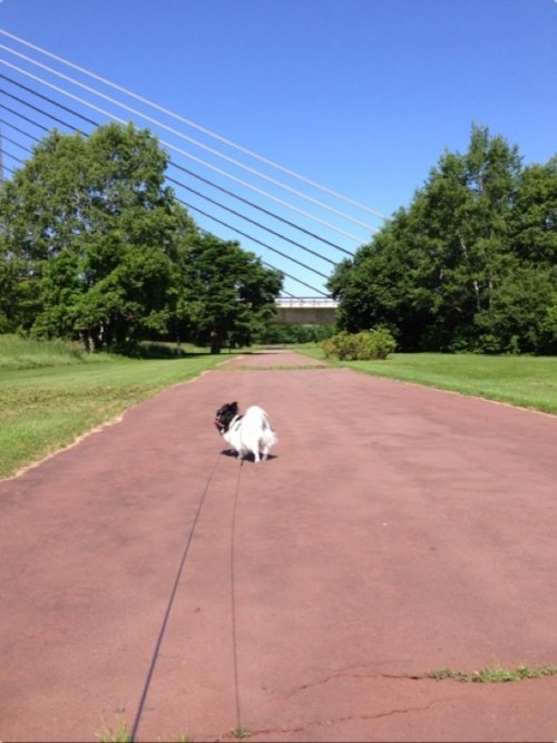 きたー！！週末ですよ～！！！