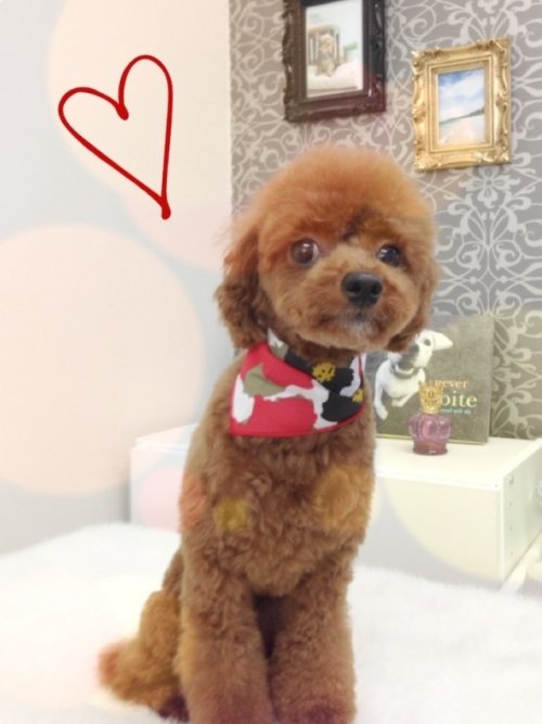 サラン姫ご来店～！！！