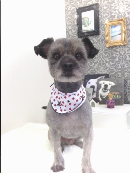 スッキリしたよー！！！