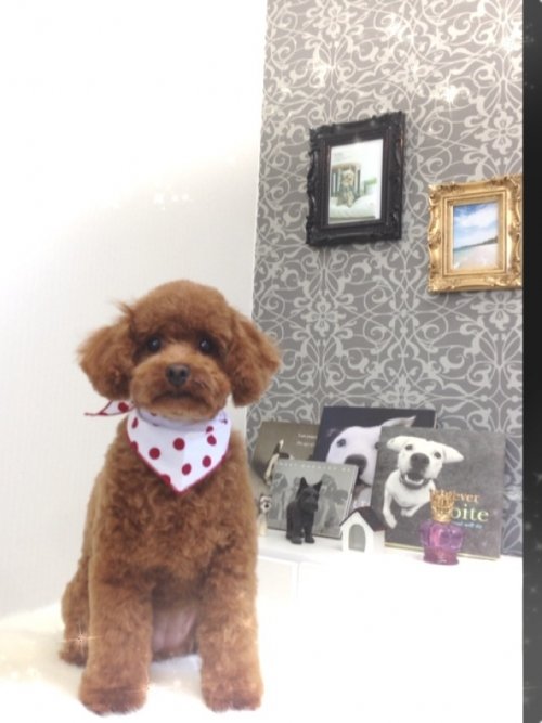 お客様ご紹介(^O^)