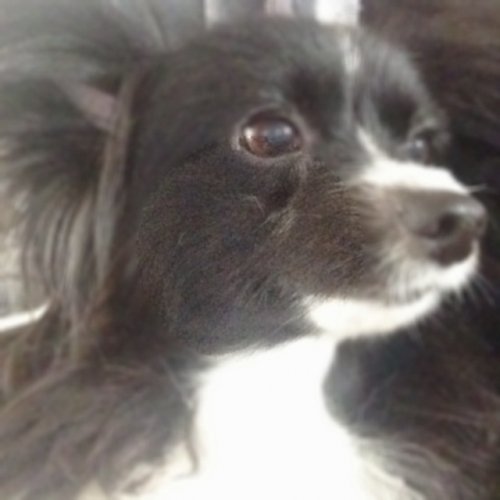 ご予約状況！！！