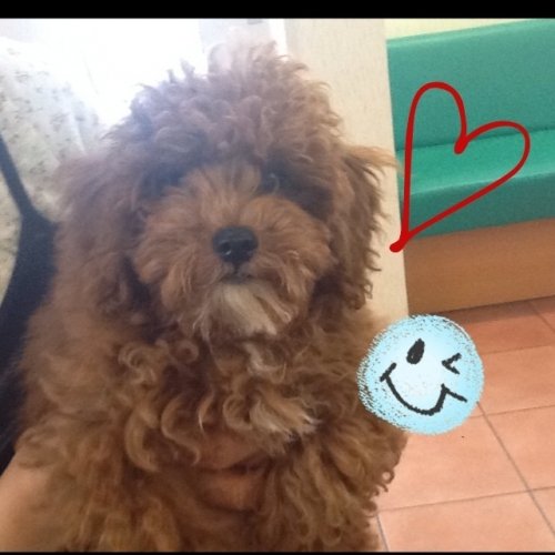 もーすぐ初カット～！！！