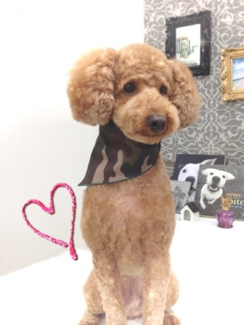 小町くーん！！