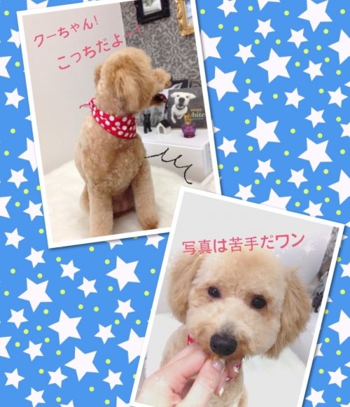 カメラは苦手？なクーちゃん(^^)