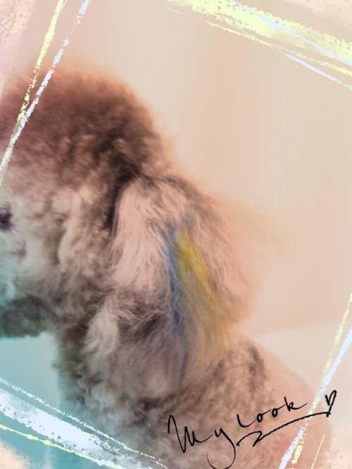 カラーリングはこんな感じだよー(^^)