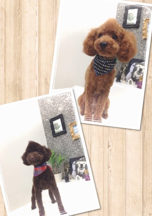 いつでも元気いっぱーい(^^)！！！