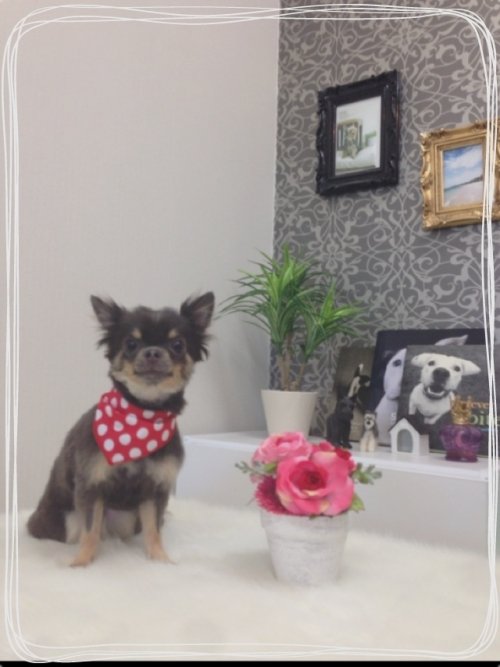 小さーい（≧∇≦）かわいー！！！