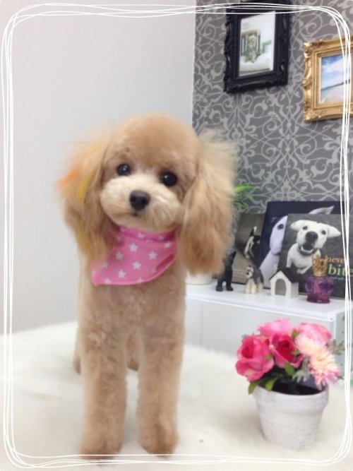 ラインくん全身ショット～(^^)