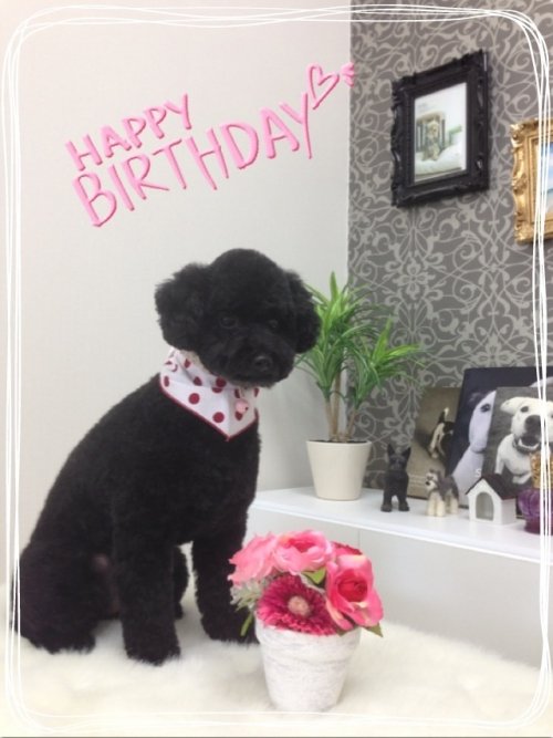 ヒメちゃんおめでとう！