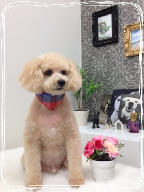 温泉浴したワン(^^)！！