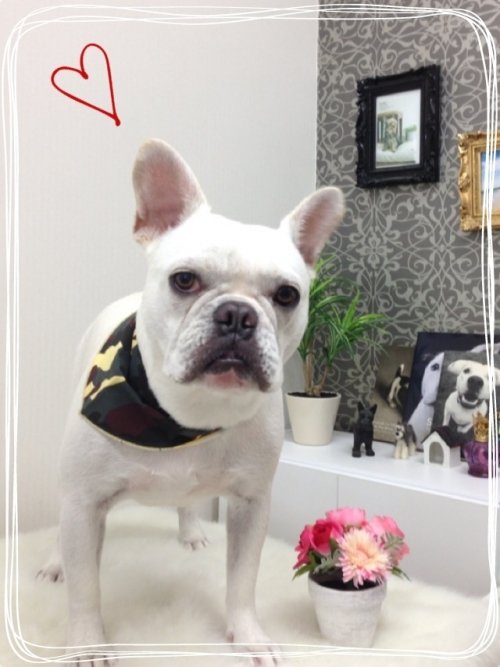 初フレンチ(^^)！