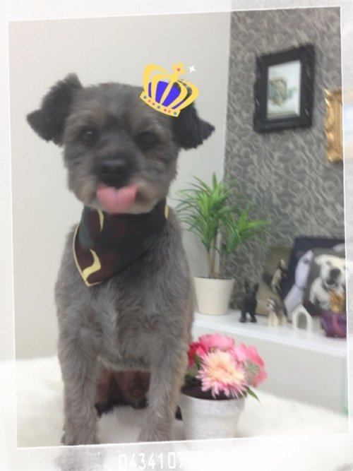 照れちゃった(*^^*)