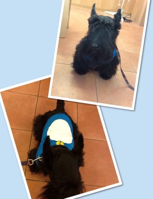 大阪で買ってん(´ω｀)