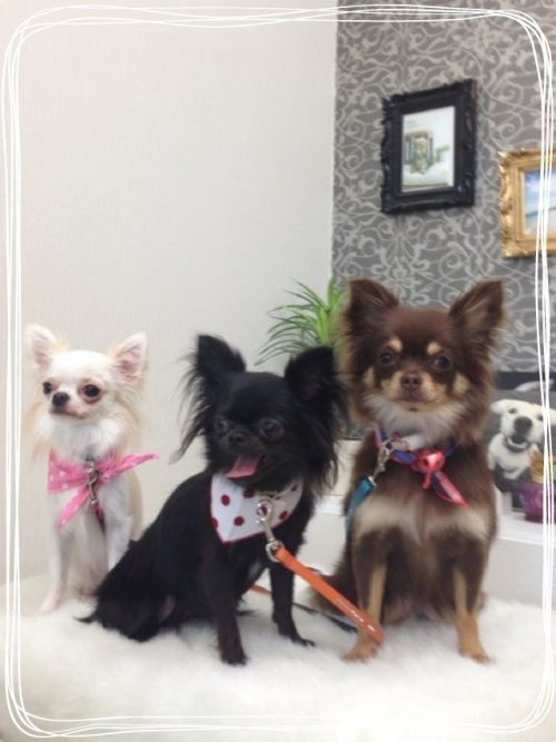 家族でキレイキレイ(^^)