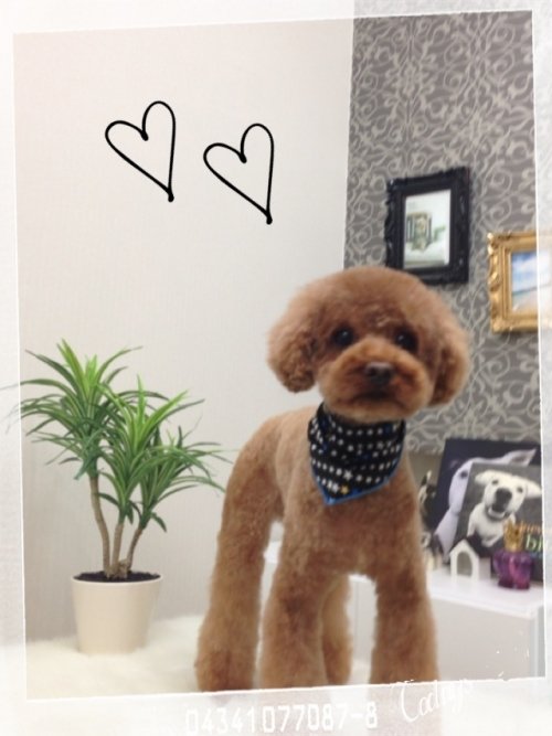 コロンくん(^_^)