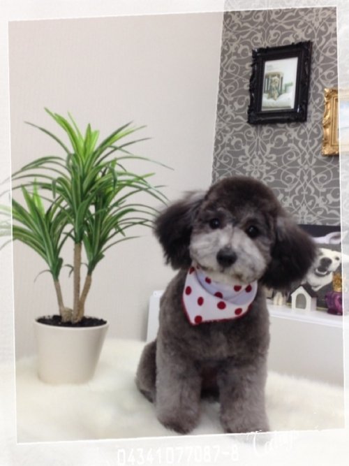 店内模様替え中～