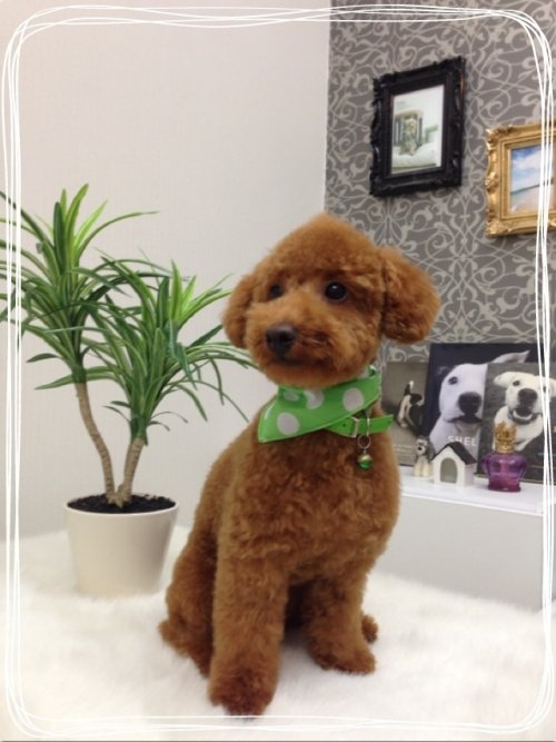 兄弟でキレイキレイ(^^)