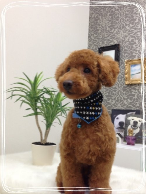 大福くん(^^)！！