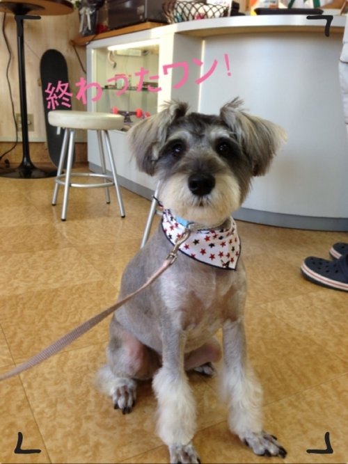 お迎え待ち～その１(^^)