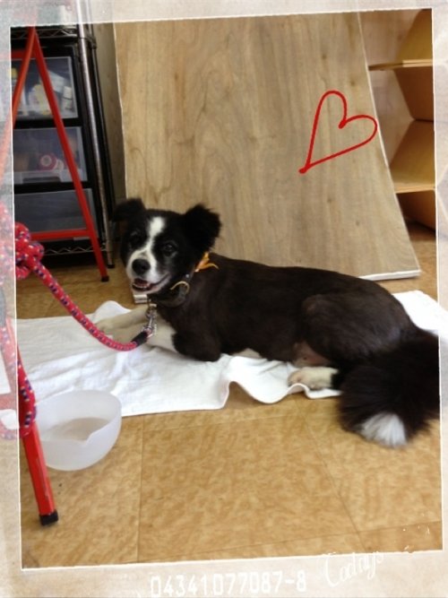 お迎え待ち～その２(*^^*)！