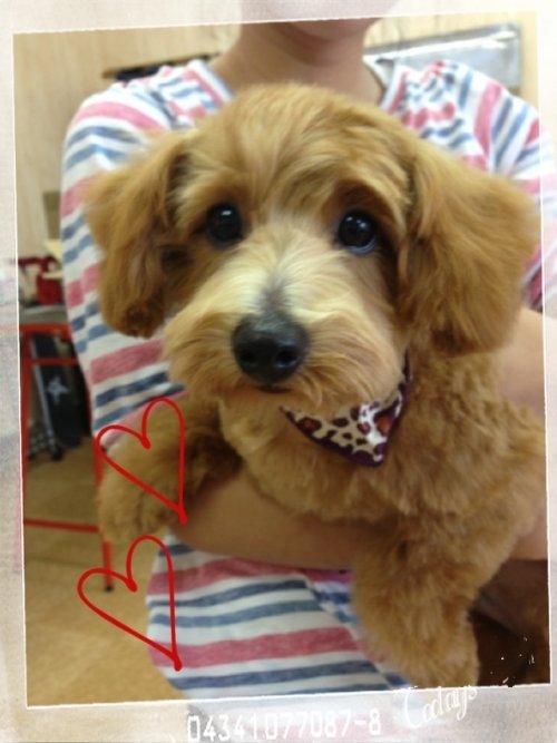 クーくん（≧∇≦）！