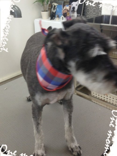 元気すぎてぇ～