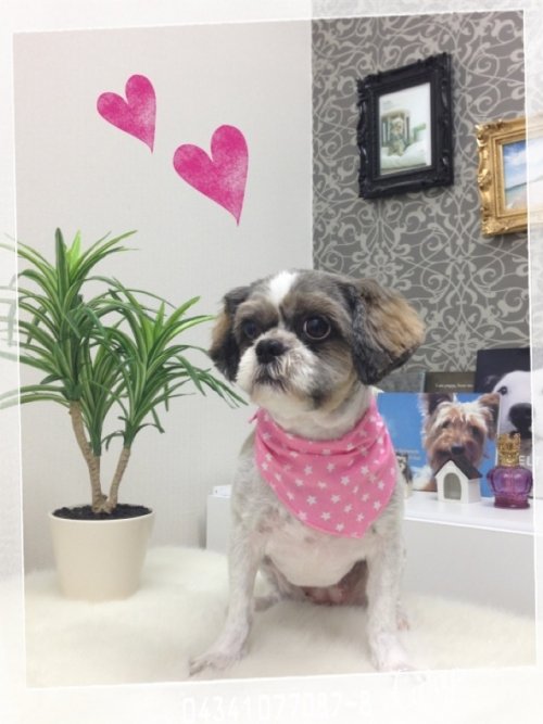 ペコちゃん完成スタイル(^^)！！