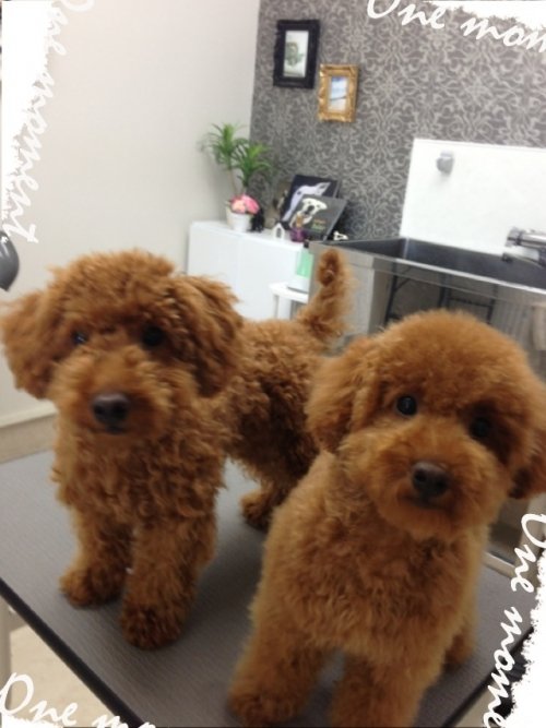 兄弟仲良し(^ ^)！