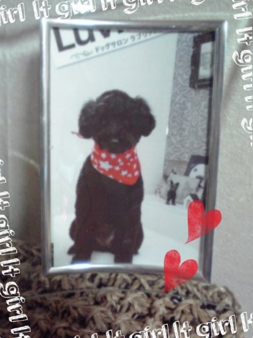 ラブリッシュから感謝を込めて…(^_^)