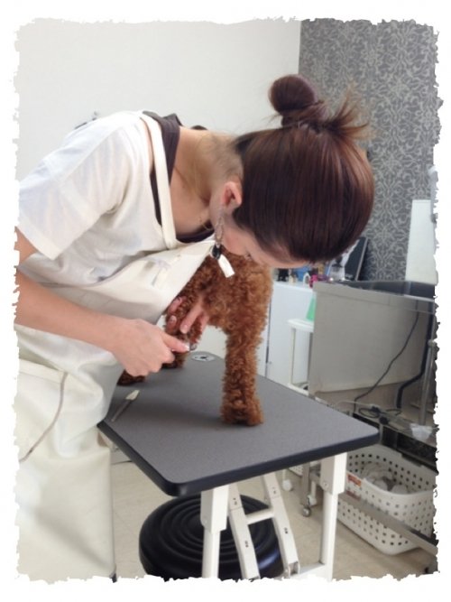 今日もありがとうございました(*^^*)