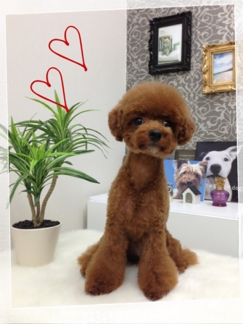 さらんちゃん(^^)