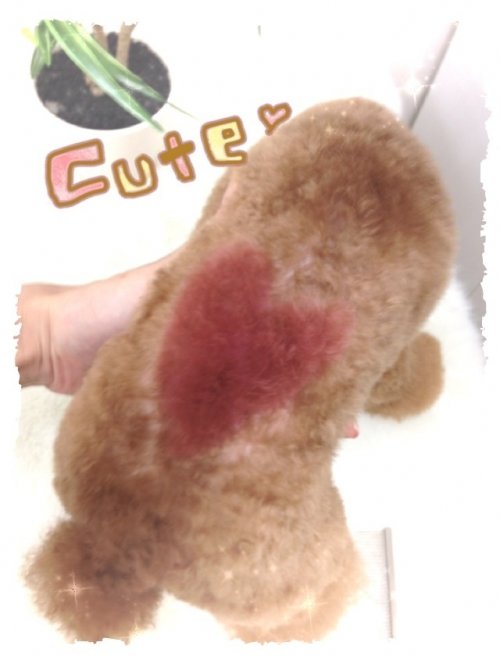 ハートカラーリング(´∀｀)