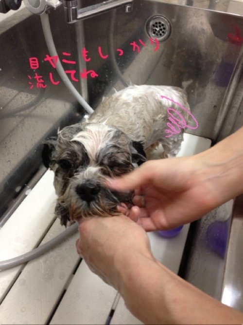 ゴローくん^_^  2