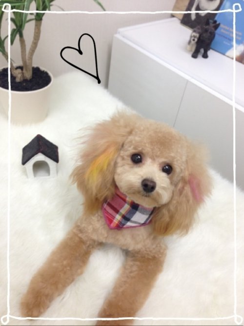 ラインくん2(´∀｀)