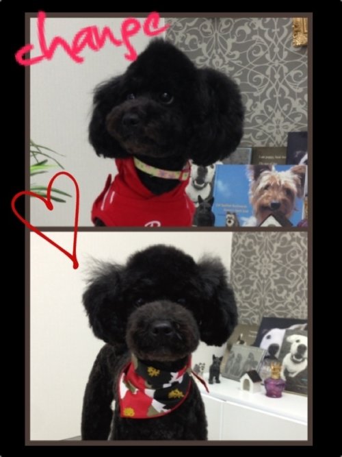 このコもスタイルチェーンジ！