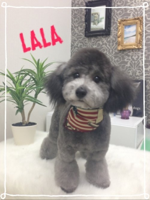 ララちゃんスタイルチェンジ(^^)