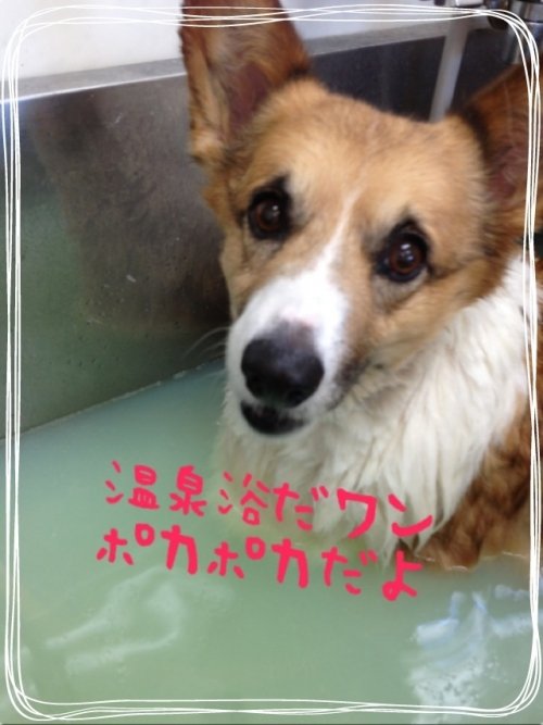 温泉浴～(^^)！！