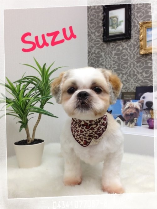 このコもスズちゃん(*^^*)！