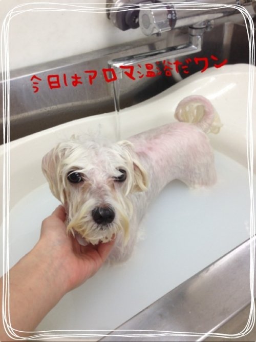 ポカポカ温浴(^ ^)人気です！