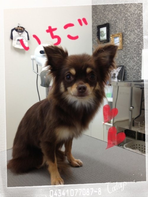 家族みんなでご来店(^^)