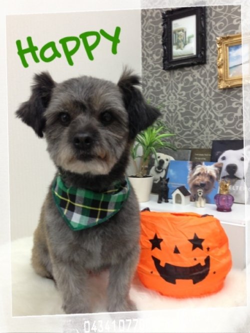 ハロウィン パート2(*^^*)