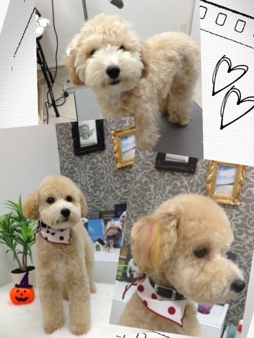 カラーリング(^^)