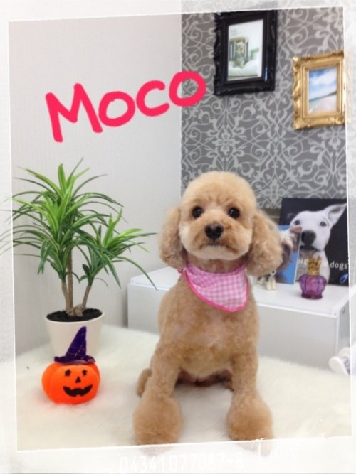 正解は！！！！