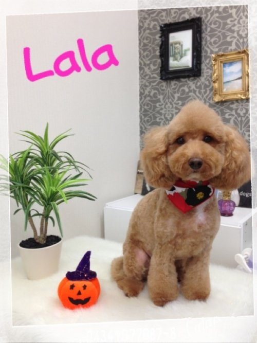 このコはだーれだ？？正確発表！！